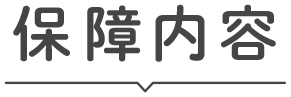 保障内容