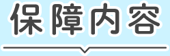 保障内容