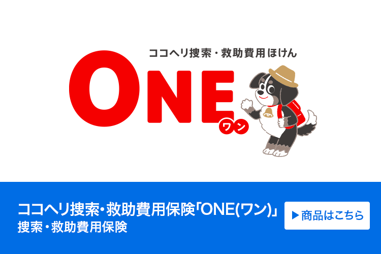 捜索・救助費用保険